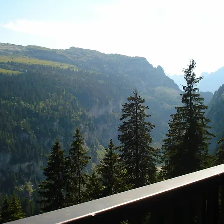Les Pleiades Flaine